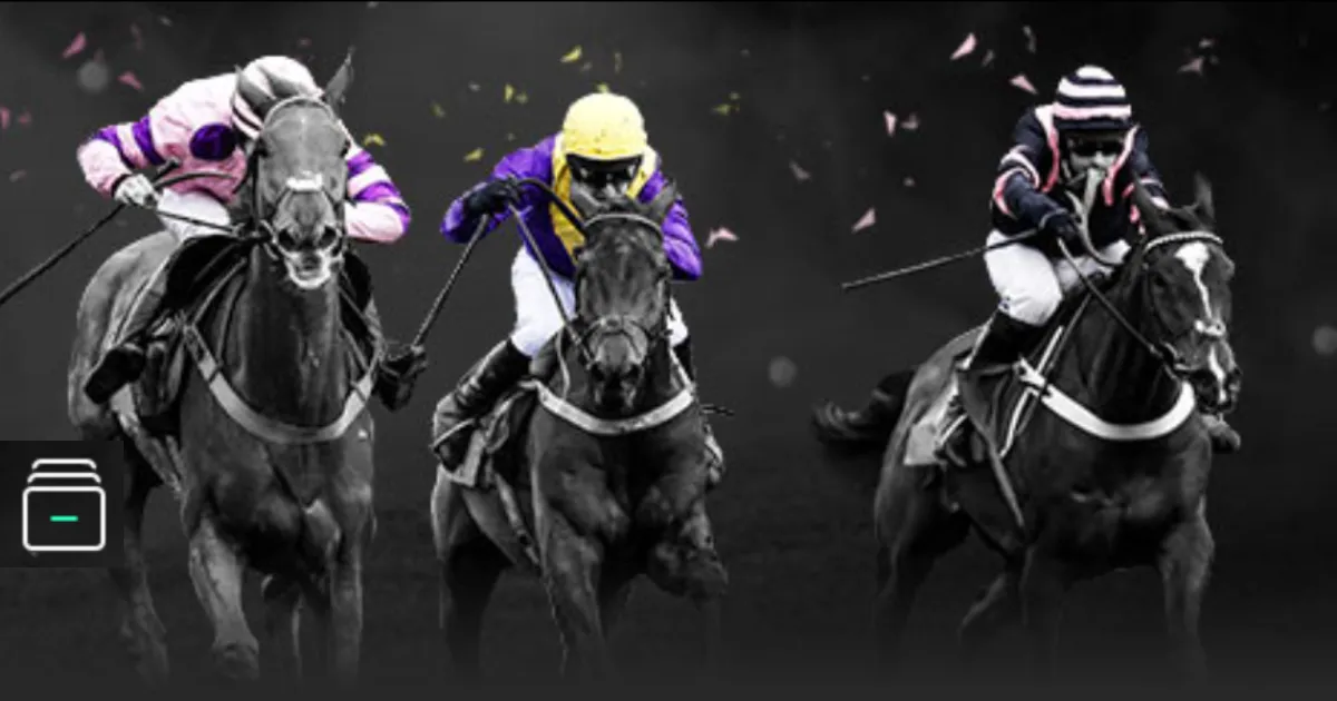 图片报,曝光,金斯利,世界杯半决赛,2026世界杯,赛程时间,最佳球队,决赛分析