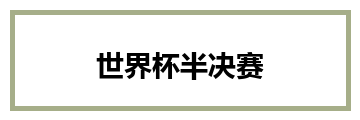 世界杯半决赛