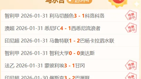 BBC新闻报道：维拉双星出战未定，迪萨西避嫌条款缺席